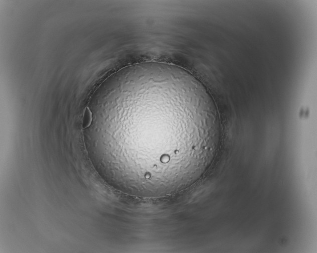 X0000113091105200909111020