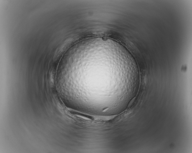 X0000113091106200909111020