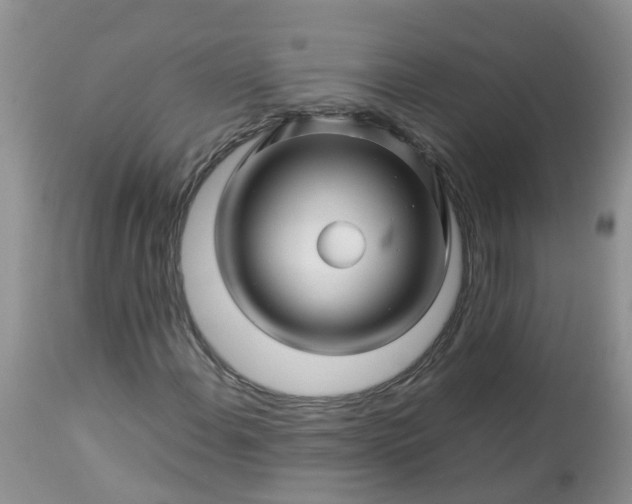 X0000113091108200909111020