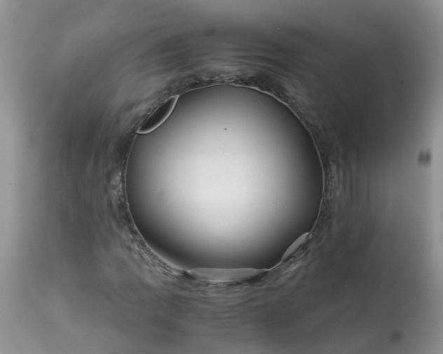 X0000113091109200909111020