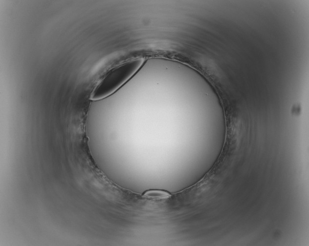 X0000113091110200909111020