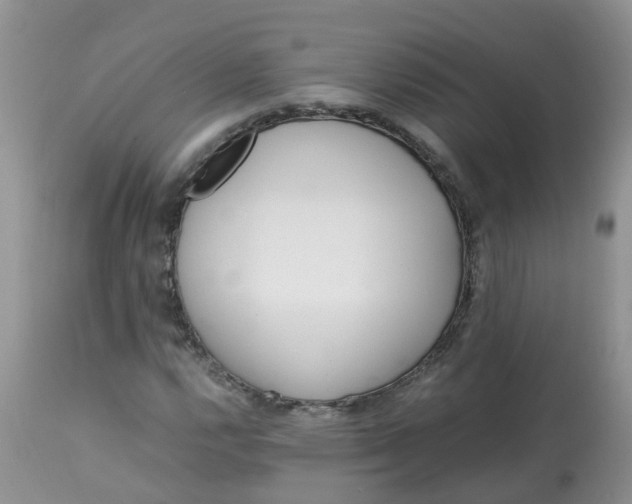 X0000113091112200909111020