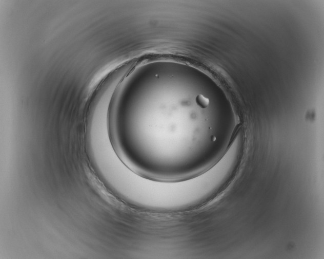 X0000113091114200909111020