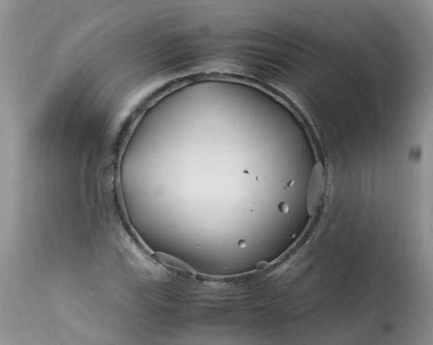 X0000113091115200909111020