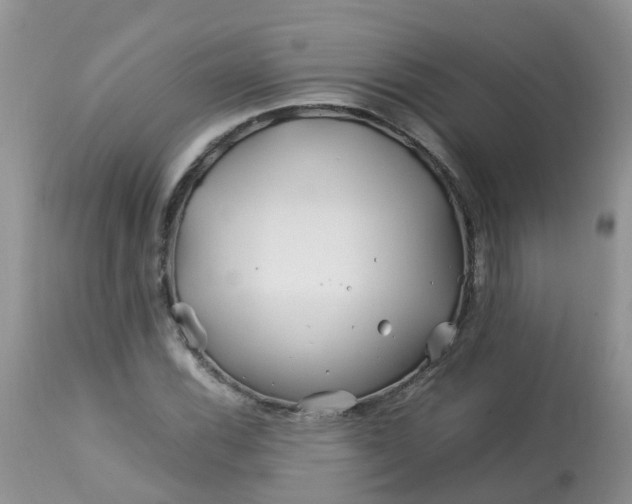 X0000113091116200909111020