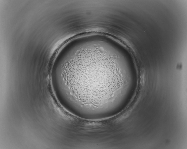 X0000113091117200909111020
