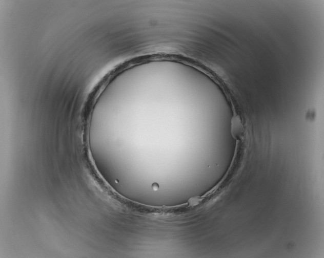 X0000113091118200909111020