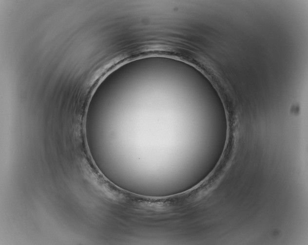 X0000113091121200909111020