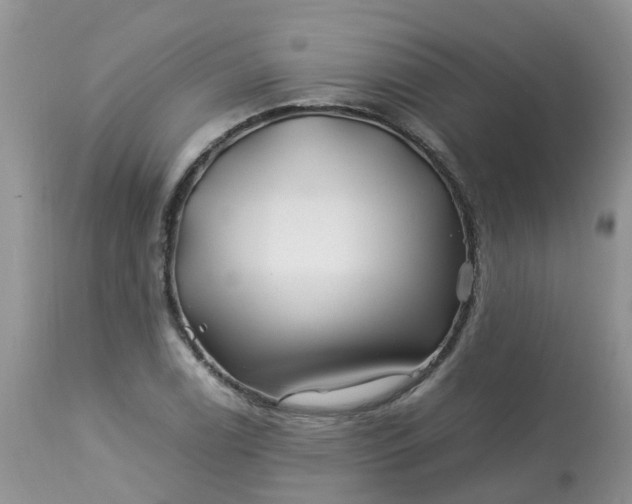 X0000113091122200909111020