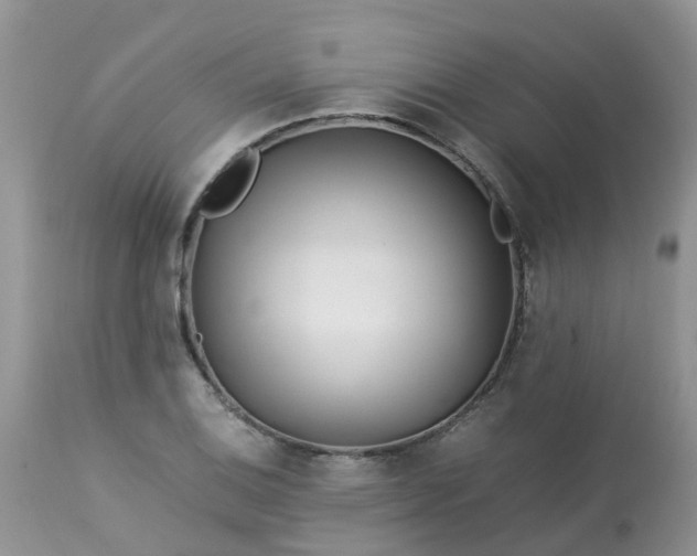 X0000113091124200909111020