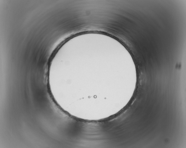 X0000113091126200909111020