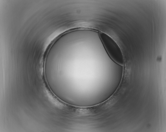 X0000113091128200909111020