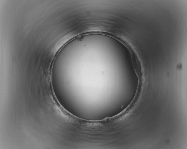 X0000113091129200909111020