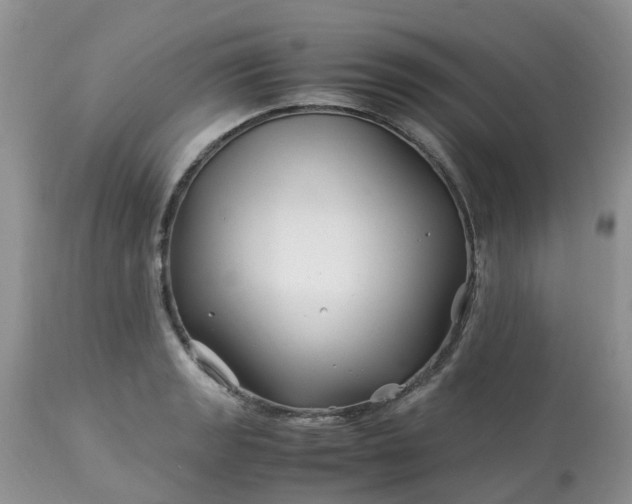 X0000113091133200909111020