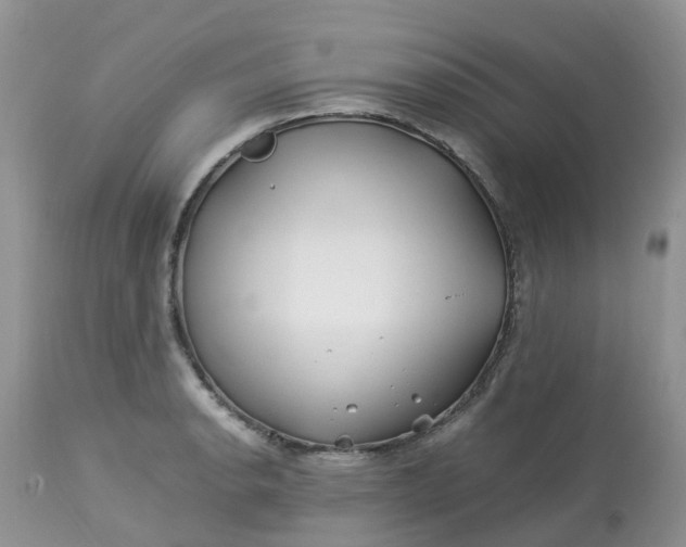 X0000113091134200909111020