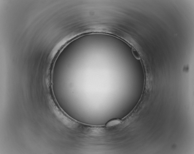 X0000113091136200909111021