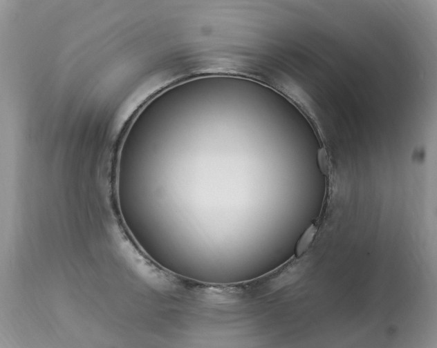 X0000113091138200909111021