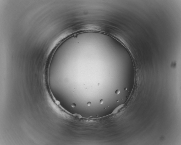 X0000113091139200909111021
