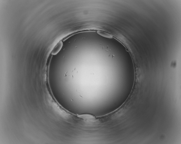 X0000113091140200909111021
