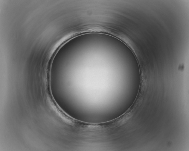 X0000113091142200909111021