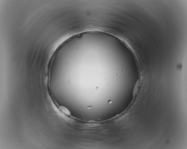 X0000113091143200909111021