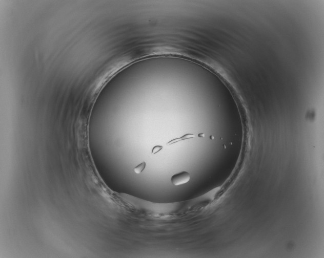 X0000113091145200909111021