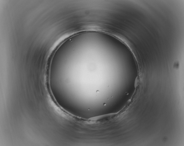 X0000113091147200909111021