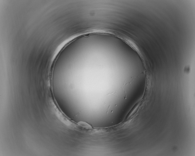 X0000113091148200909111021