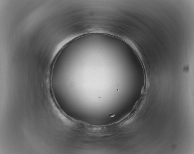 X0000113091149200909111021