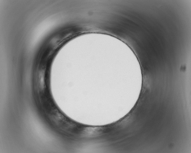 X0000113091150200909111021