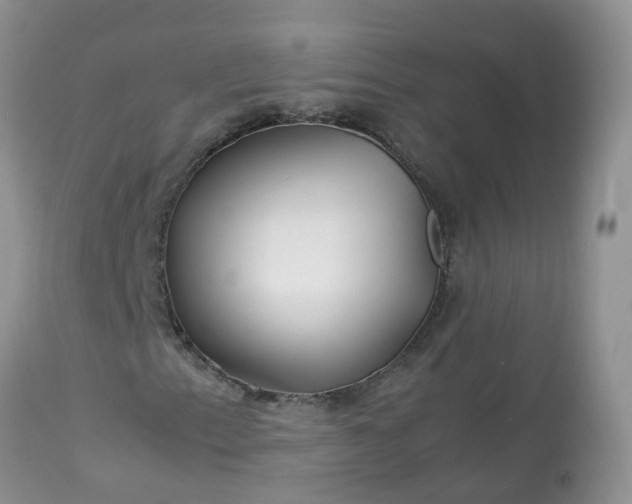 X0000113091153200909111020