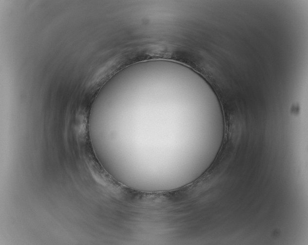 X0000113091154200909111020