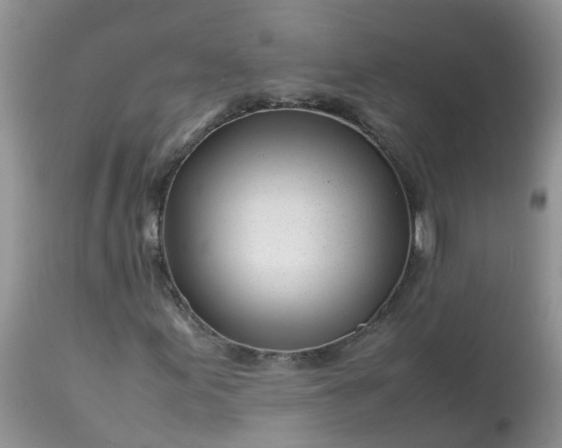 X0000113091155200909111020
