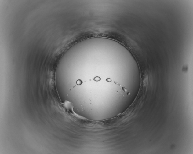 X0000113091156200909111020