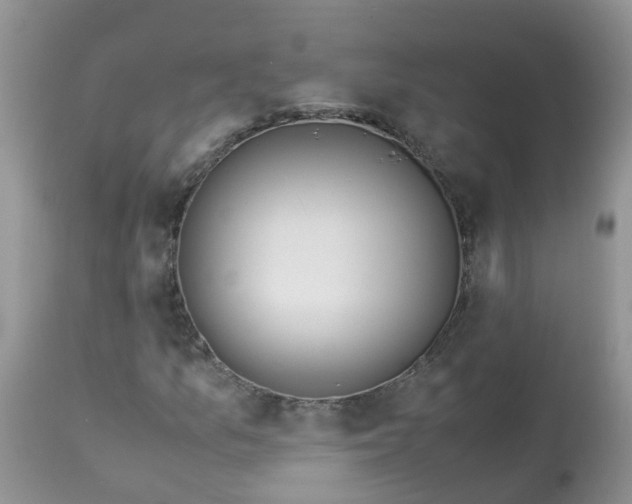 X0000113091157200909111020