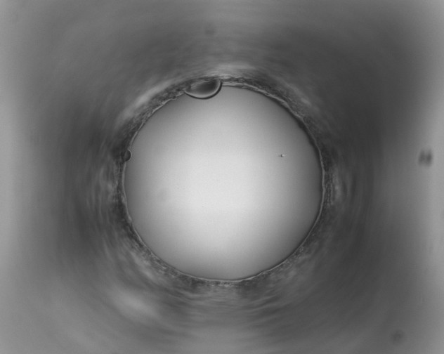 X0000113091158200909111020