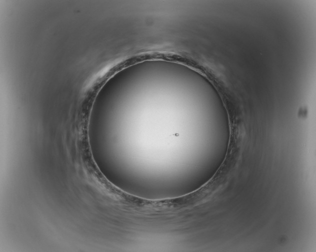 X0000113091159200909111020