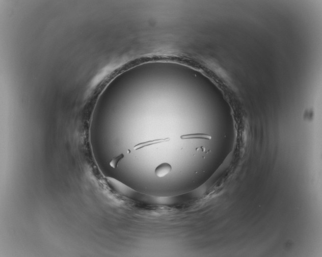 X0000113091160200909111020