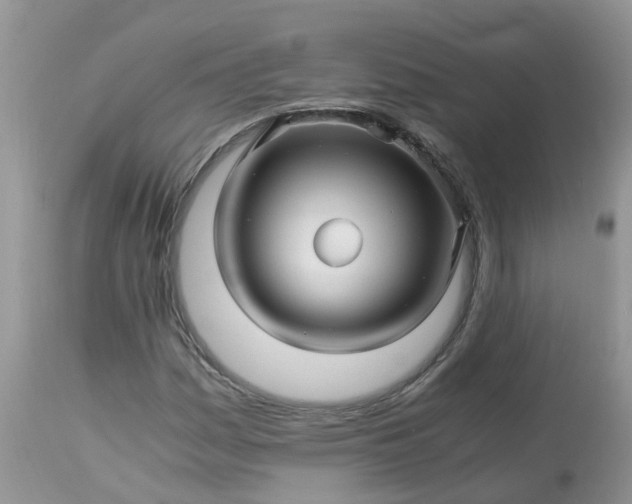 X0000113091161200909111020