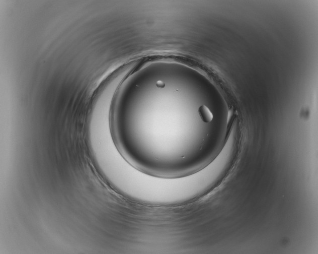 X0000113091162200909111020