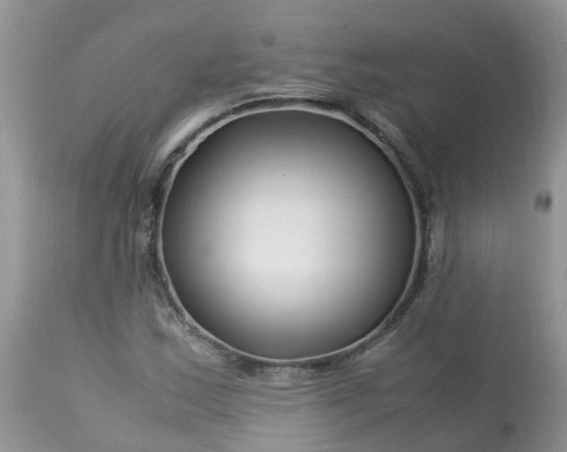 X0000113091163200909111020
