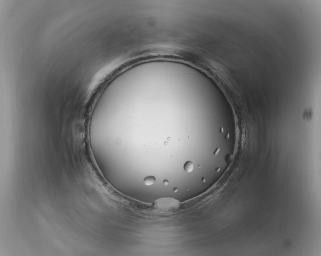 X0000113091164200909111020
