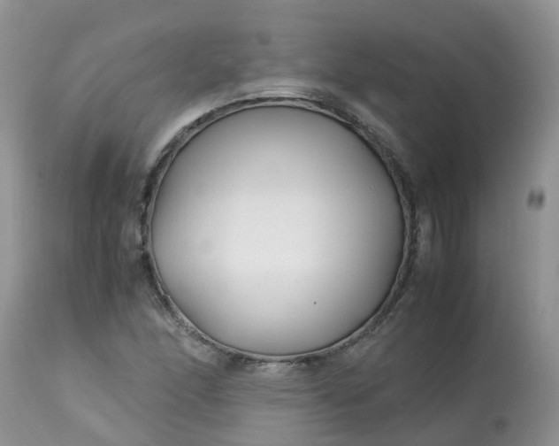 X0000113091166200909111020