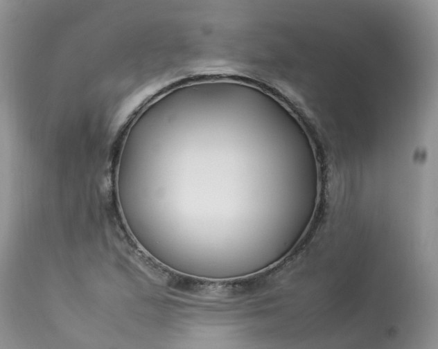 X0000113091167200909111020