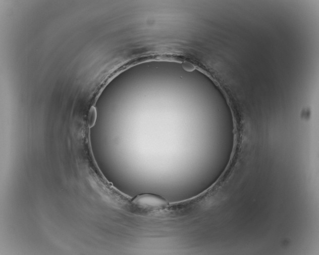 X0000113091169200909111020