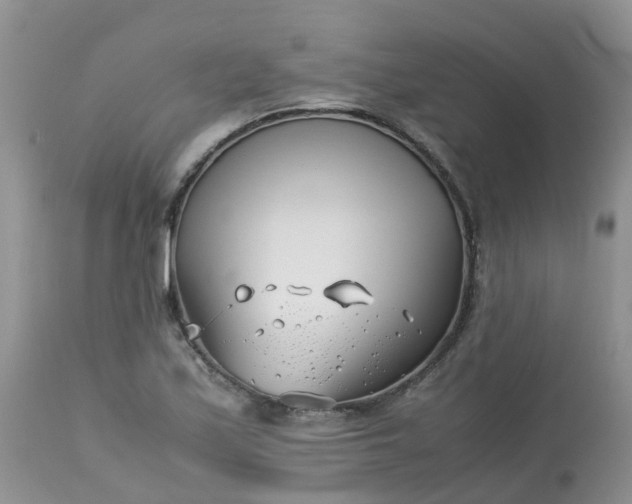 X0000113091171200909111020