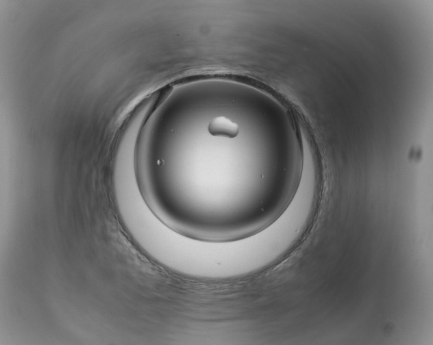 X0000113091173200909111020