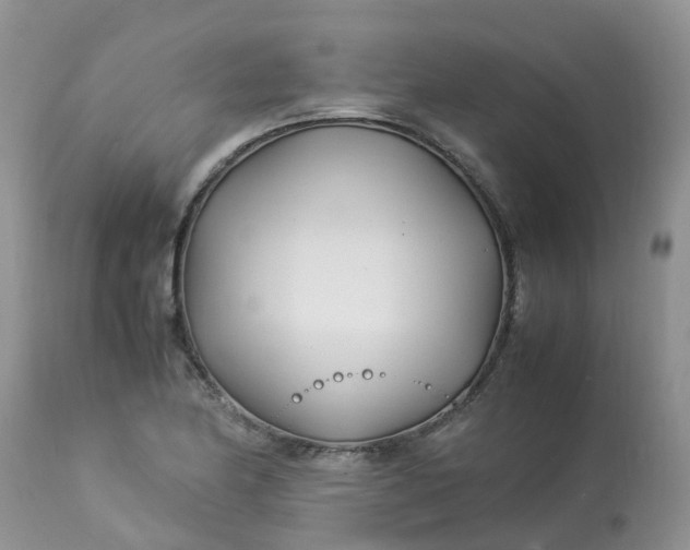 X0000113091174200909111020