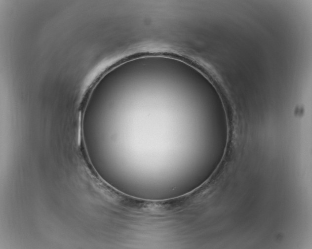 X0000113091175200909111020