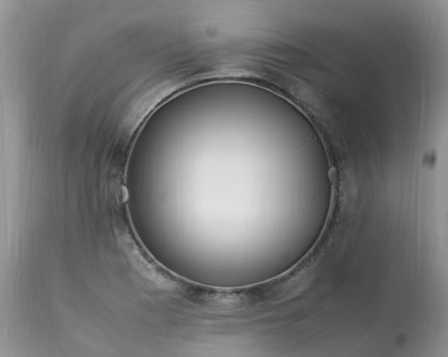X0000113091177200909111020